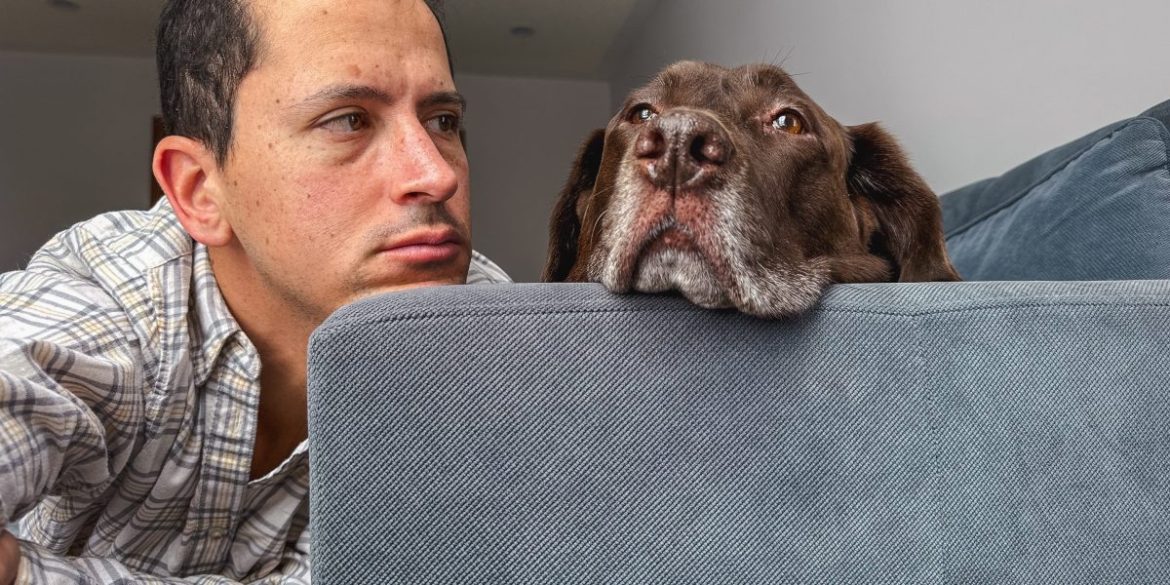 You love your dog too much. Blame the broken American Dream and loss of purpose since the pandemic