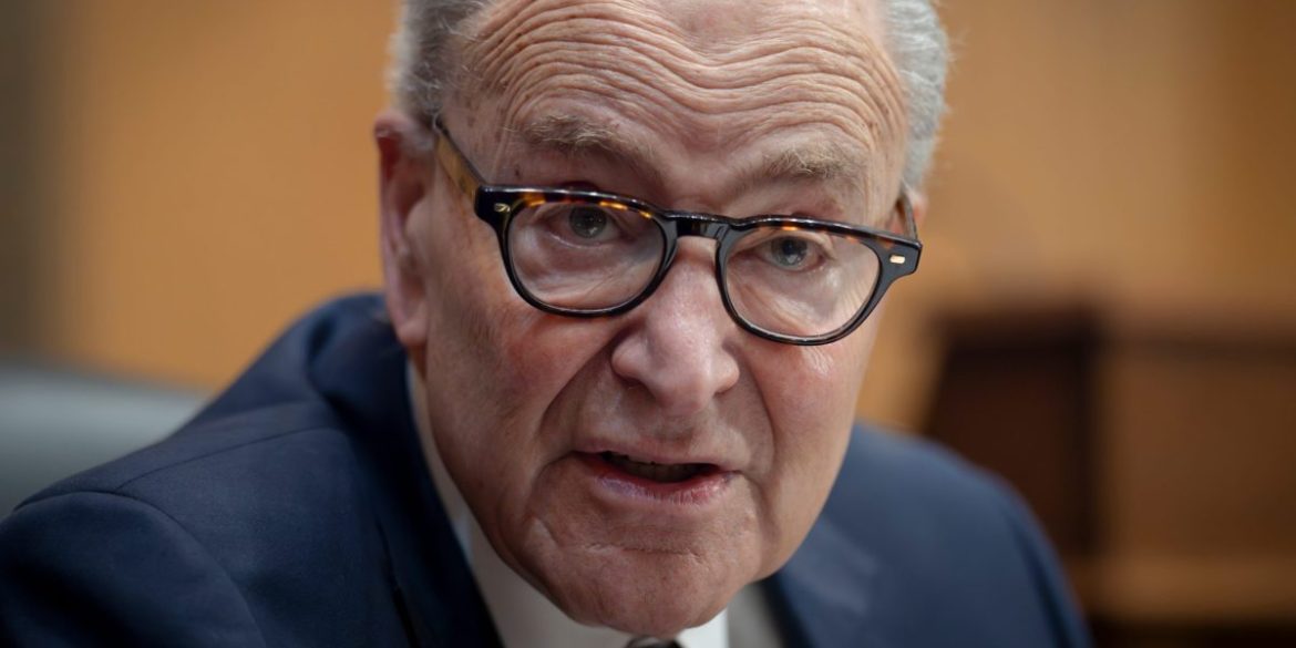 Democrats in disarray as rank and file clash with Chuck Schumer’s plan to run elderly moderates in must-win races