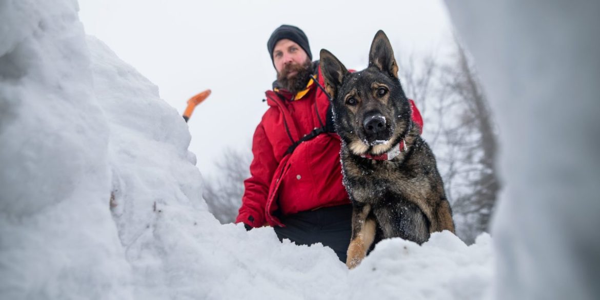 What avalanche safety training can teach corporate boards about bad decisions