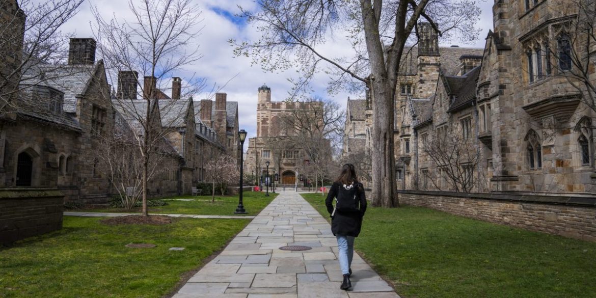 ‘The college grading system [is] almost meaningless’: People see the Ivy League as an easy A and with flawed admissions standards