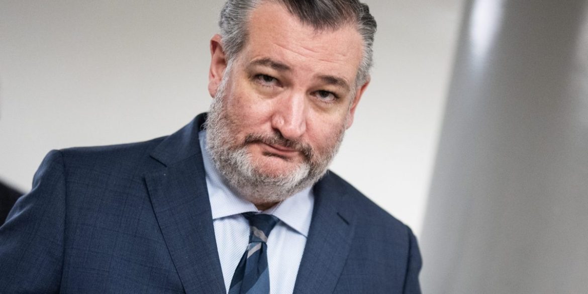 Ted Cruz says the quiet part out loud: Trump accounts are Social Security personal accounts as GOP senator reveals ‘dirty little secret’