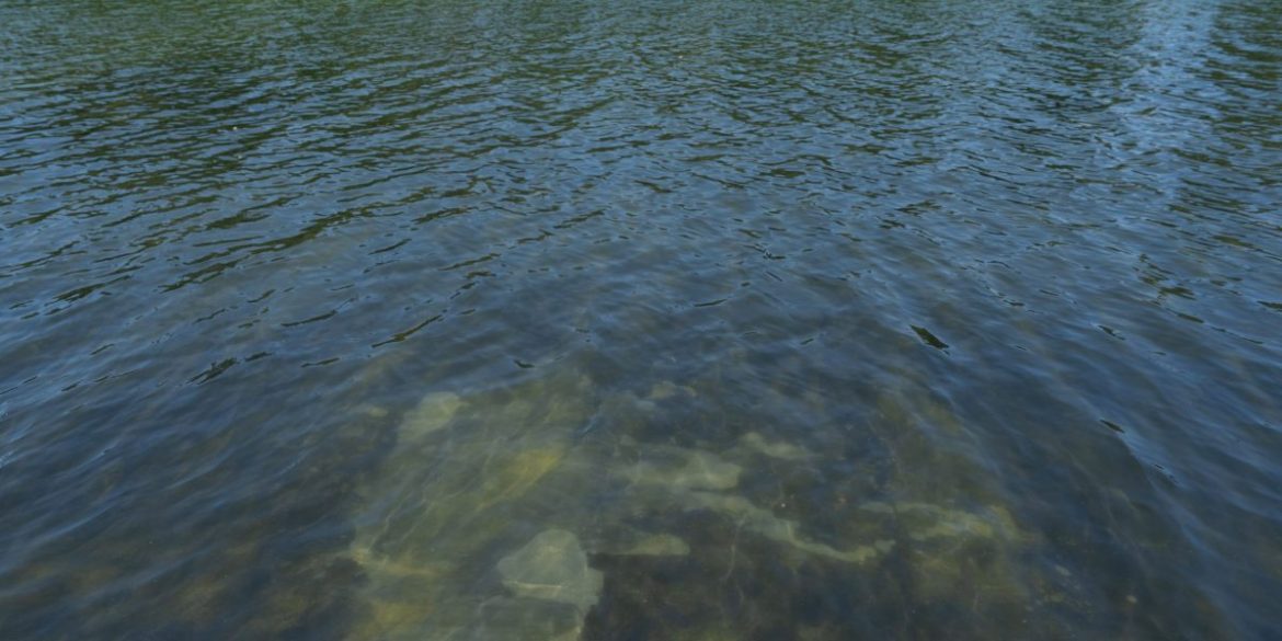 Trump tries explain why the Reflecting Pool is algae green and its blue lining is peeling. Police arrest a former Olympic canoe racer on a bike ride