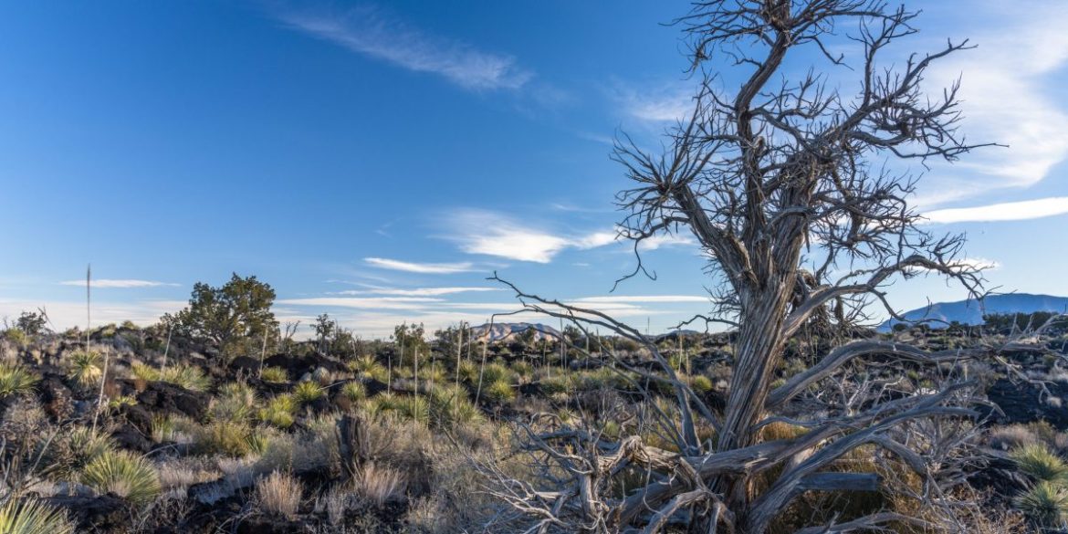New Mexico is in a historic drought. Oracle and OpenAI designed their newest data center with that in mind