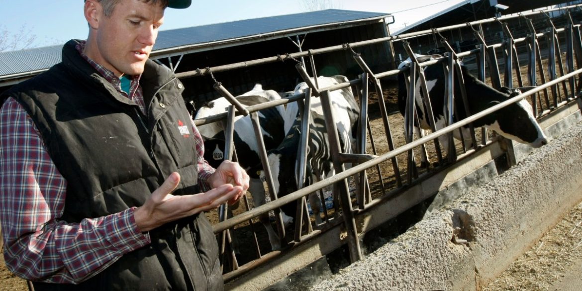 In deep‑red Idaho, even Republicans break with Trump on farm labor